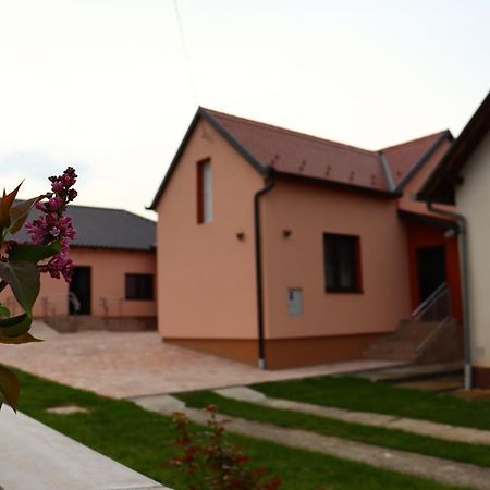 Agroturizam Opg Jakopovic Caglin Dış mekan fotoğraf